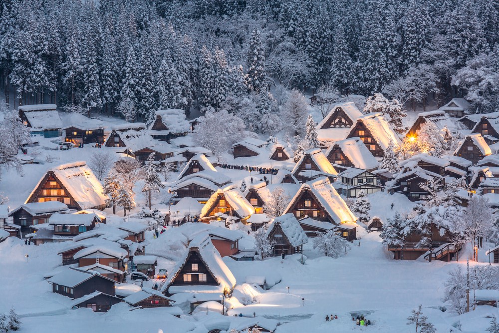 shutterstock_256865620