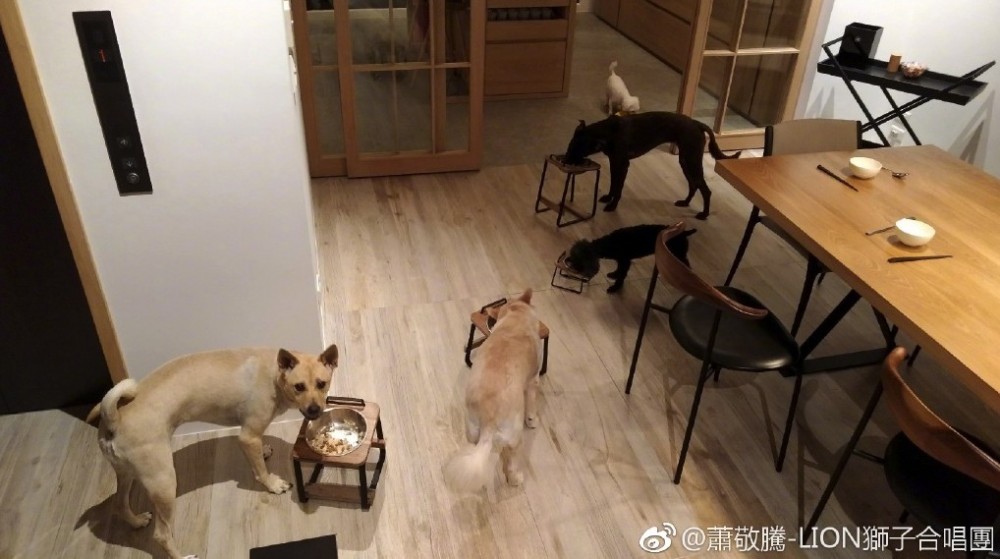 螢幕快照 2018-12-28 下午12.55.45