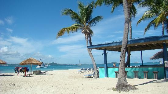 palomino-island